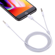 Cavo audio AUX 2 in 1 da 1 m per smartphone