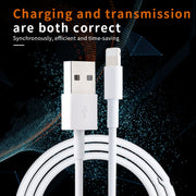 Cavo ricarica rapida USB a 8 pin 1m
