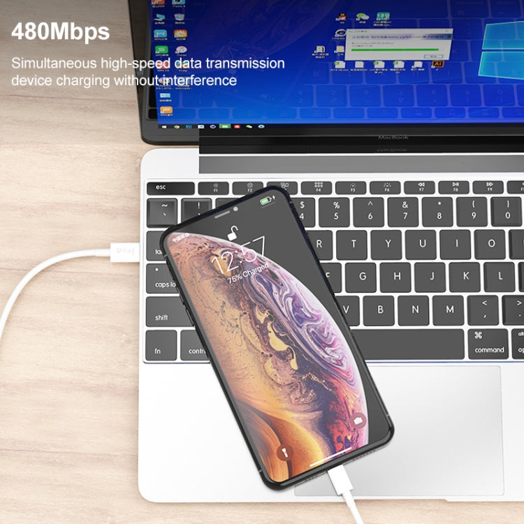 Cavo dati USB-C IVON 20W PD 1 metro