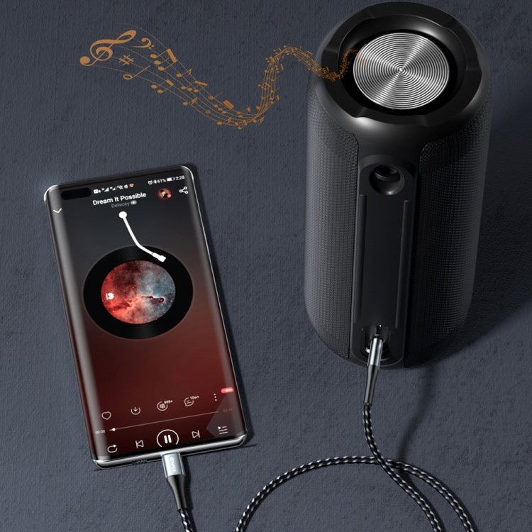 Cavo audio Hi-Fi awei CL-116T da tipo C / USB-C a 3,5 mm
