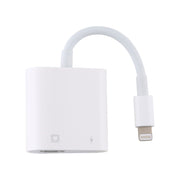 Adattatore LAN Ethernet 8 pin a RJ45