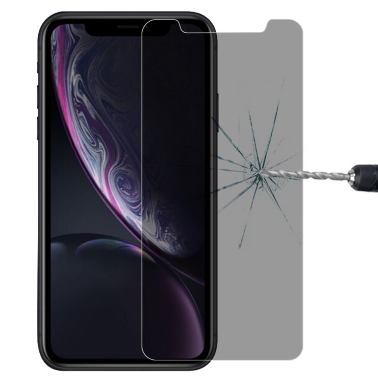 Proteggi schermo vetro temperato iPhone 11/XR