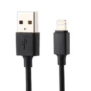 Caricatore USB 5V 2.1A per iPhone con cavo 1m