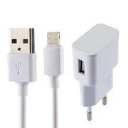 Caricatore USB 5V 2.1A per iPhone con cavo 1m