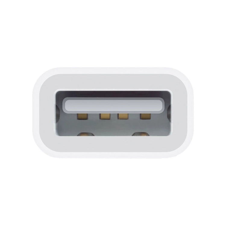 Adattatore USB per iPad e iPhone per importazione foto