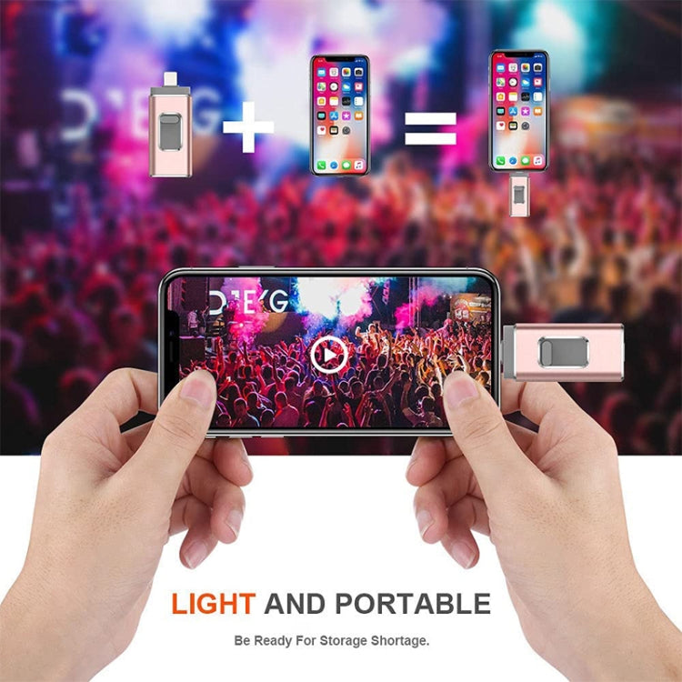 easyflash RQW-01B Chiavetta USB 2.0 3 in 1 e 8 pin e micro USB da 64 GB, RQW-01B Silver