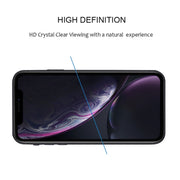 Pellicola in vetro temperato per iPhone 11/XR