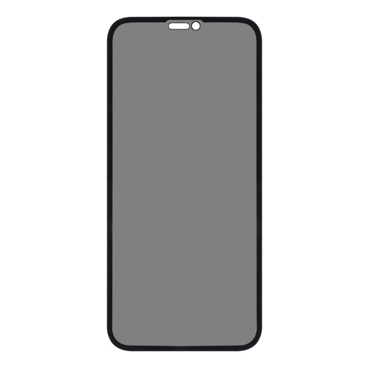 Pellicola in vetro temperato 9H anti-peep per iPhone XR