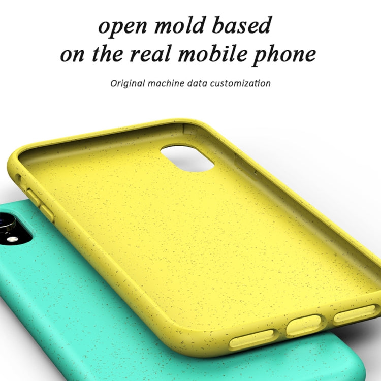 Custodia protettiva TPU paglia per iPhone XR Starry Series