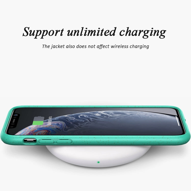 Custodia protettiva TPU paglia per iPhone XR Starry Series