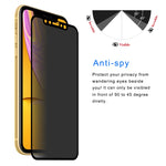 Pellicola Vetro Temperato Privacy per iPhone 11 e XR