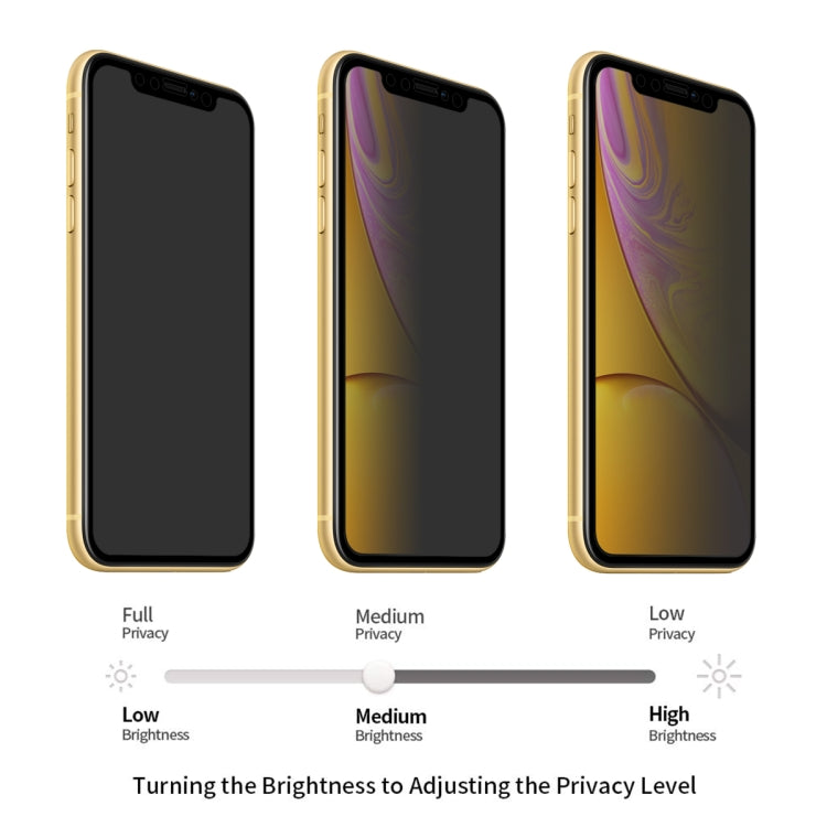 Pellicola Vetro Temperato Privacy per iPhone 11 e XR