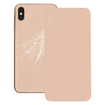 Cover posteriore in vetro per iPhone XS