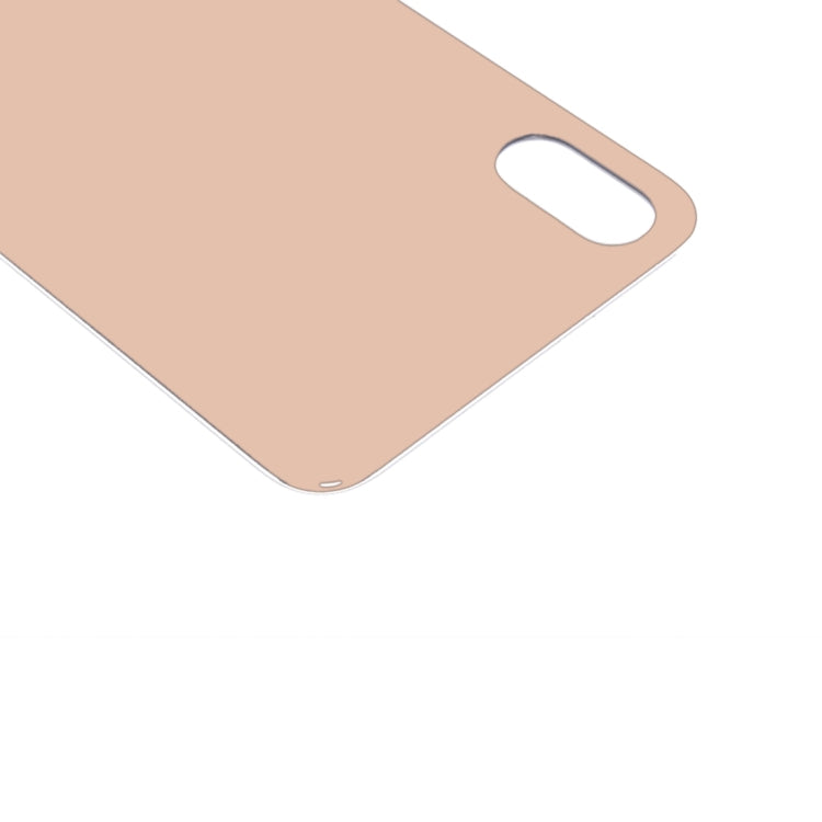 Cover posteriore in vetro per iPhone XS