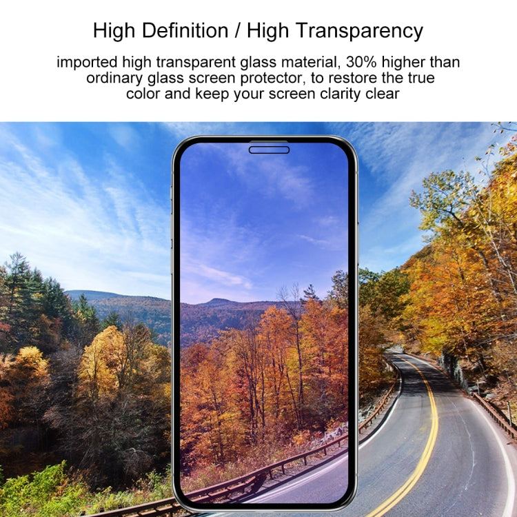 Pellicola in vetro temperato per iPhone 11 Pro/X