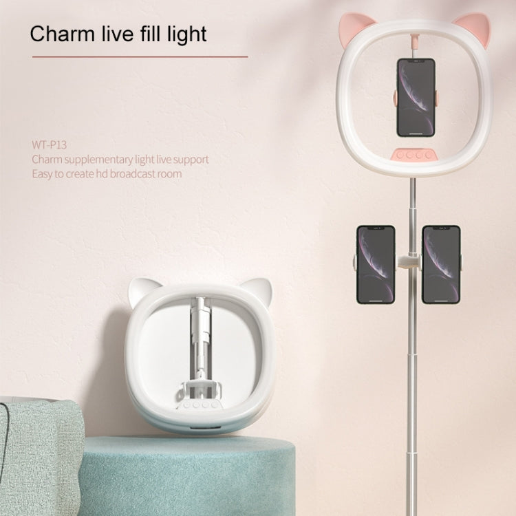 WK WT-P13 Charm Fill Light Live Support Beauty Eye Care Fill Light, WT-P13 (Black), WT-P13 (Pink), WT-P13 (White)