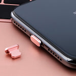 Spina antipolvere metallo per porta ricarica iPhone