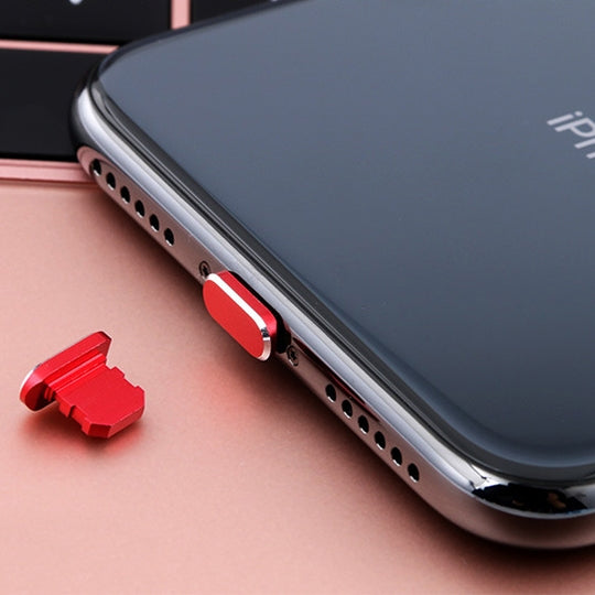 Spina antipolvere metallo per porta ricarica iPhone
