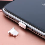 Spina antipolvere metallo per porta ricarica iPhone