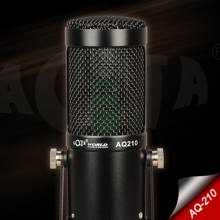 Microfono condensatore AQ-210 K per registrazioni live