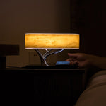Lampada da tavolo con altoparlante Bluetooth e ricarica wireless
