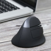DELUX M618 Mini 2.4G Wireless 2400 DPI USB ricaricabile ergonomico mouse verticale, M618 Pink, M618 Grey