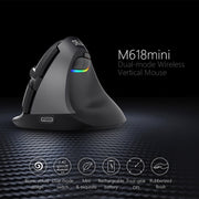 DELUX M618 Mini 2.4G Wireless 2400 DPI USB ricaricabile ergonomico mouse verticale, M618 Pink, M618 Grey