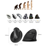 DELUX M618 Mini 2.4G Wireless 2400 DPI USB ricaricabile ergonomico mouse verticale, M618 Pink, M618 Grey