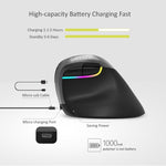 DELUX M618 Mini 2.4G Wireless 2400 DPI USB ricaricabile ergonomico mouse verticale, M618 Pink, M618 Grey