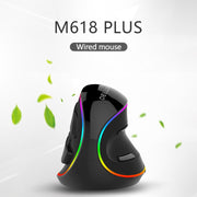 DELUX M618 Plus Mouse ottico cablato RGB Mouse verticale ergonomico 4000 DPI, 4000DPI Wired