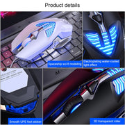 Mouse da gioco cablato programmabile con luce RGB regolabile in 4 modalità YINDIAO G4 3200 DPI