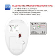 Mouse Bluetooth wireless dal design silenzioso a tre modalità HXSJ T36 2.4G Bluetooth 5.0 + 3.0