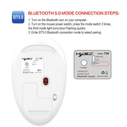 Mouse Bluetooth wireless dal design silenzioso a tre modalità HXSJ T36 2.4G Bluetooth 5.0 + 3.0