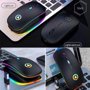 Mouse silenzioso wireless ricaricabile con luce RGB regolabile a 3 modalità YINDIAO A2 da 2,4 GHz 1600 DPI, Rechargeable ver.