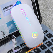 Mouse silenzioso wireless ricaricabile con luce RGB regolabile a 3 modalità YINDIAO A2 da 2,4 GHz 1600 DPI, Rechargeable ver.