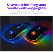 Mouse silenzioso wireless ricaricabile con luce RGB regolabile a 3 modalità YINDIAO A2 da 2,4 GHz 1600 DPI, Rechargeable ver.