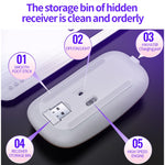 Mouse silenzioso wireless ricaricabile con luce RGB regolabile a 3 modalità YINDIAO A2 da 2,4 GHz 1600 DPI, Rechargeable ver.