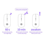 Mouse silenzioso wireless ricaricabile con luce RGB regolabile a 3 modalità YINDIAO A2 da 2,4 GHz 1600 DPI, Rechargeable ver.