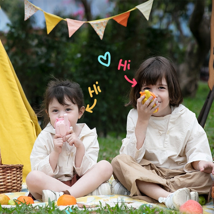Walkie-talkie per bambini a forma di ape con torcia