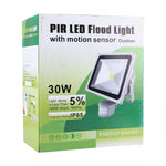 Lampada LED 30W 2250 lumen con telecomando 110-265V
