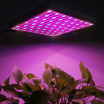 Luce per acquario con luce per serra da 225 LED, CA 85-265 V, 45W/SMD 2835