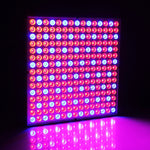 Luce per acquario con luce per serra da 225 LED, CA 85-265 V, 45W/SMD 2835