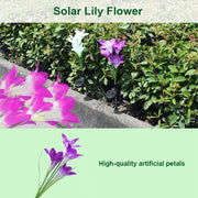 Lampada da giardino solare LED impermeabile IP55 4 teste