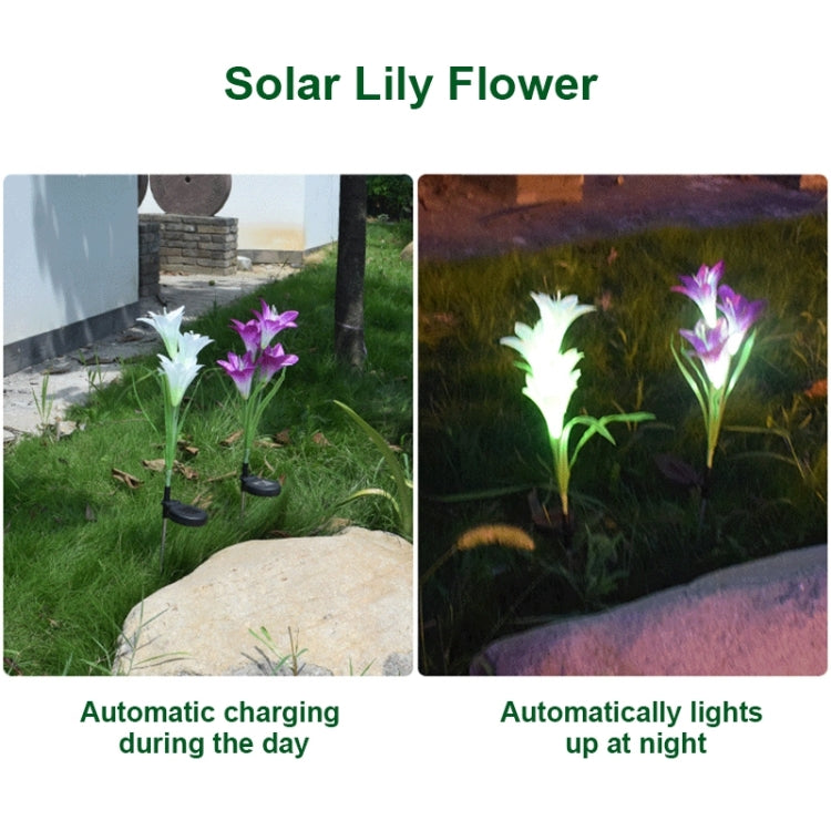 Lampada da giardino solare LED impermeabile IP55 4 teste