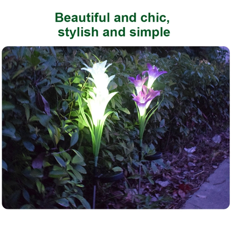 Lampada da giardino solare LED impermeabile IP55 4 teste