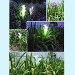 Lampada da giardino solare LED impermeabile IP55 4 teste