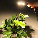 3W 6 LED SMD 5730 Modulo LED Lampada Sorgente luminosa a soffitto, DC 5V Luce bianca calda, DC5V Warm White Light