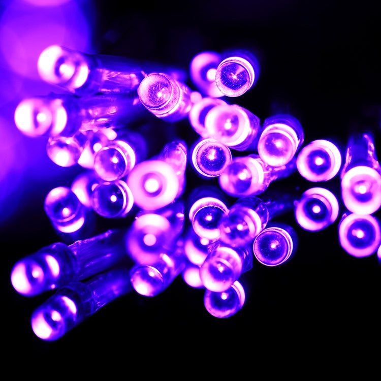 Stringa luminosa reticolare 200 LED con controller EU Plug