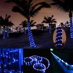 Pannello solare resistente all'acqua 50 LED, 5m 50LED Blue Light, 5m 50LED Colorful Light, 5m 50LED White Light, 5m 50LED Warm White