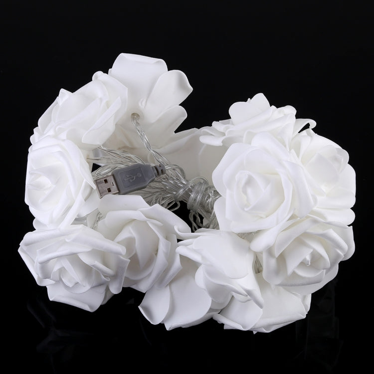 Lampada decorativa fata calda a 20 LED in stile adolescente per Natale, matrimonio, camera da letto, Rose